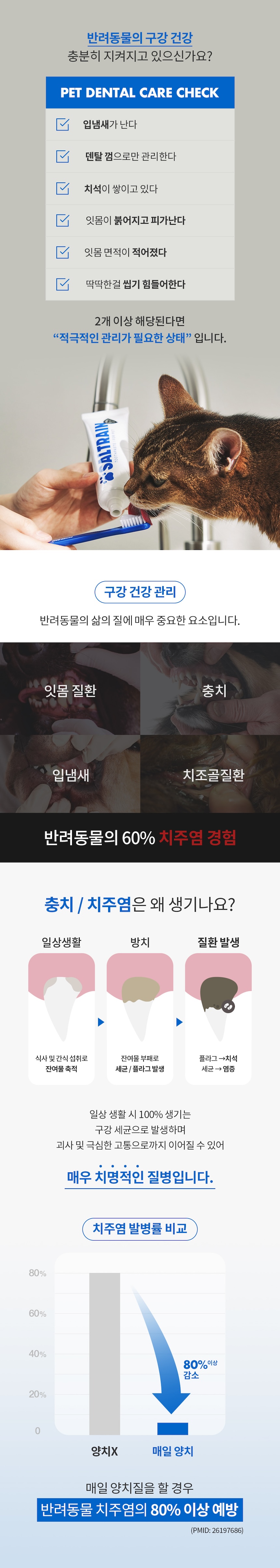 [NEW신상][무료배송] 파이브빈스x솔트레인 펫 덴탈키트 (칫솔+치약) 2번째