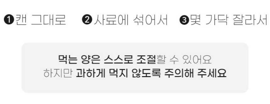 펫팀 캣그라스 새싹보리 41번째