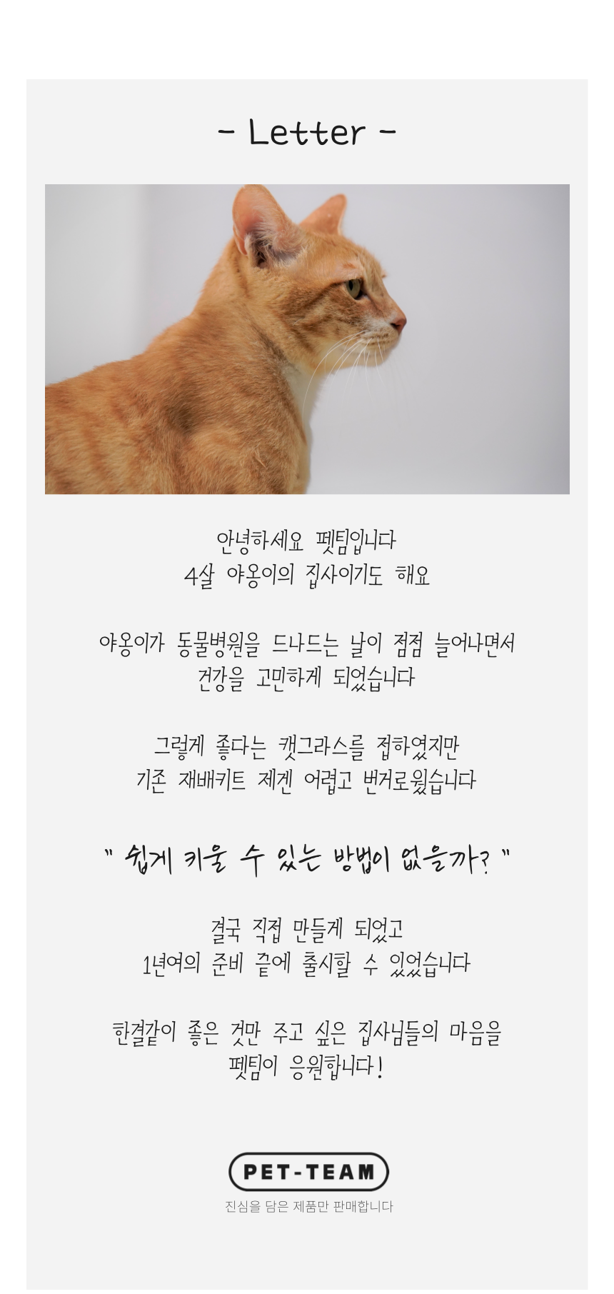펫팀 캣그라스 새싹보리 36번째