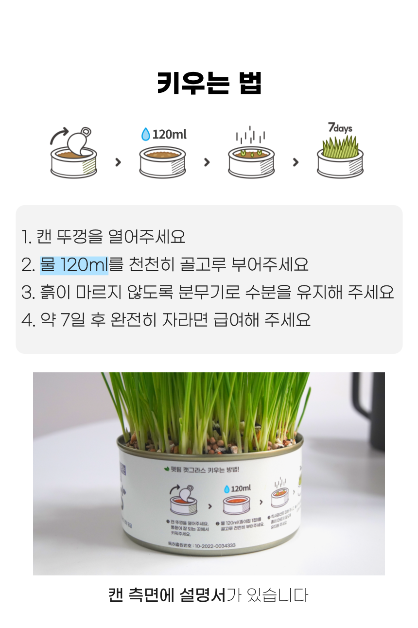[체험단] 펫팀 캣그라스 새싹귀리 39번째
