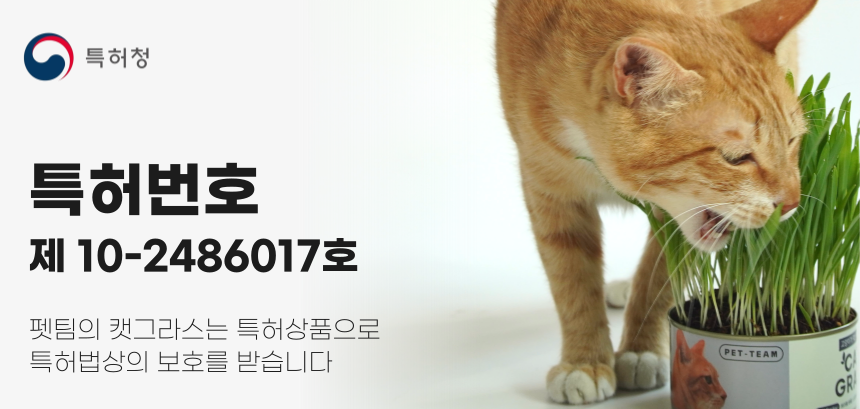 [체험단] 펫팀 캣그라스 새싹귀리 1번째