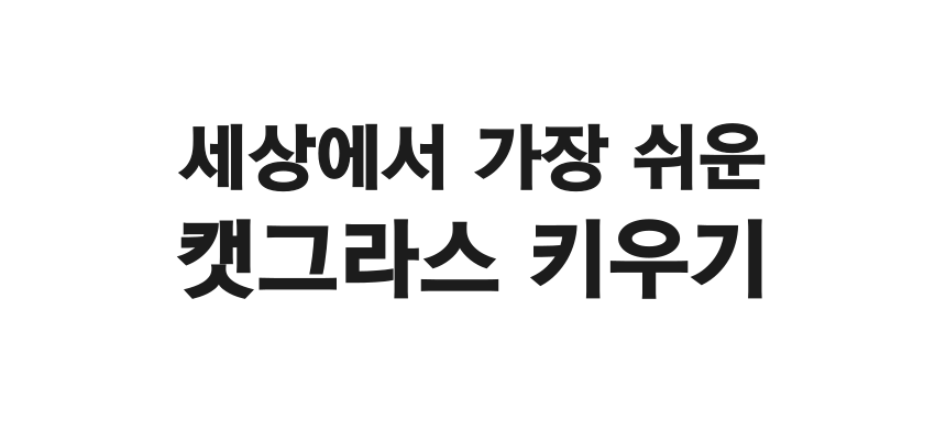 [체험단] 펫팀 캣그라스 새싹귀리 4번째