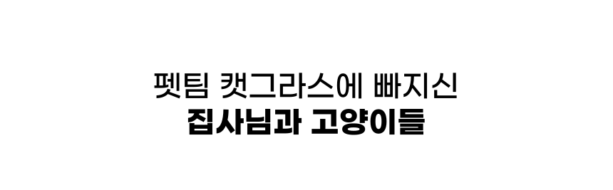 [체험단] 펫팀 캣그라스 새싹귀리 16번째