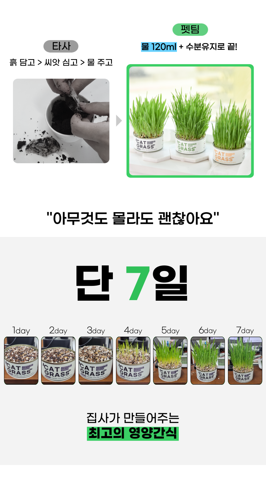[체험단] 펫팀 캣그라스 새싹귀리 8번째
