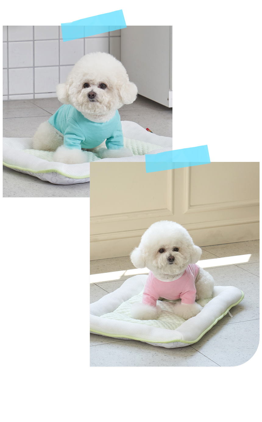 [NEW신상][무료배송] 개과천선 쿨 버디 방석 (크림 멜론/크림 블루) 9번째