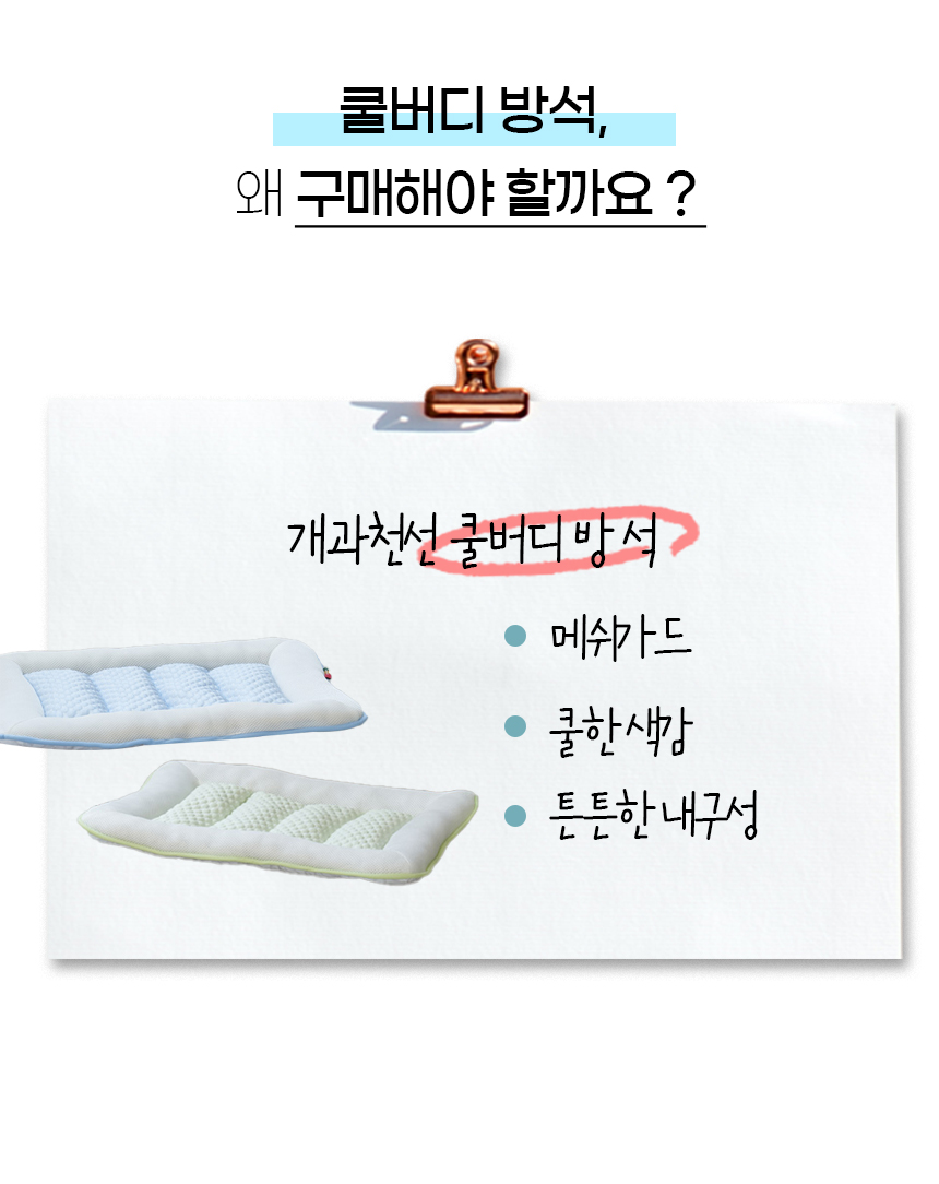 [NEW신상][무료배송] 개과천선 쿨 버디 방석 (크림 멜론/크림 블루) 8번째