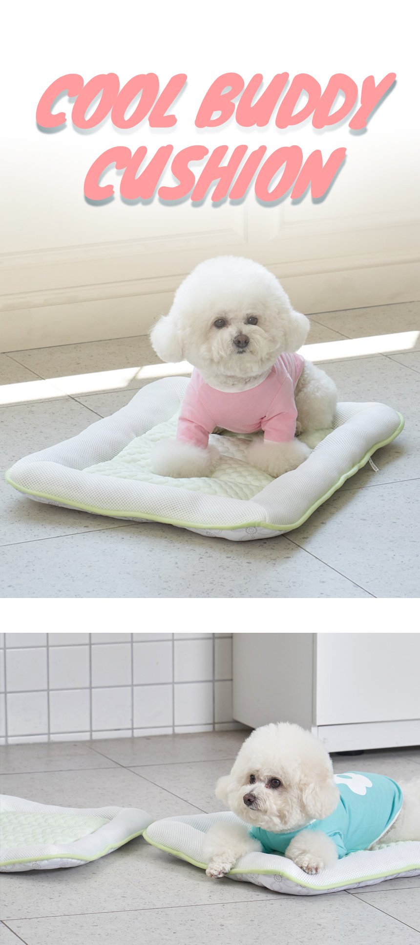 [NEW신상][무료배송] 개과천선 쿨 버디 방석 (크림 멜론/크림 블루) 1번째