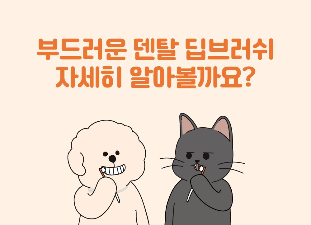 [무료배송] 리스펫 덴탈클린 효소 치약 닭고기맛 40g + 덴탈 딥 브러쉬 SET 3번째