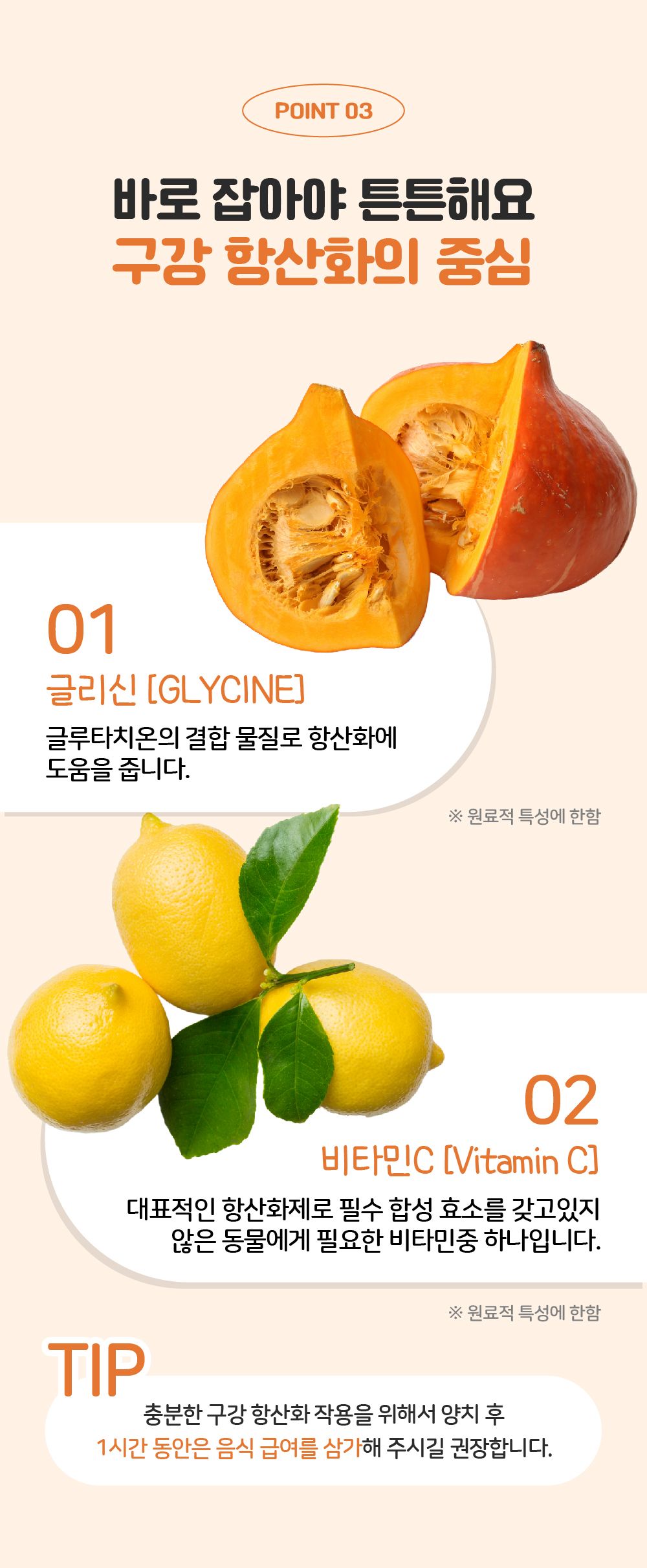 [무료배송] 리스펫 덴탈클린 효소 치약 닭고기맛 40g + 덴탈 딥 브러쉬 SET 11번째