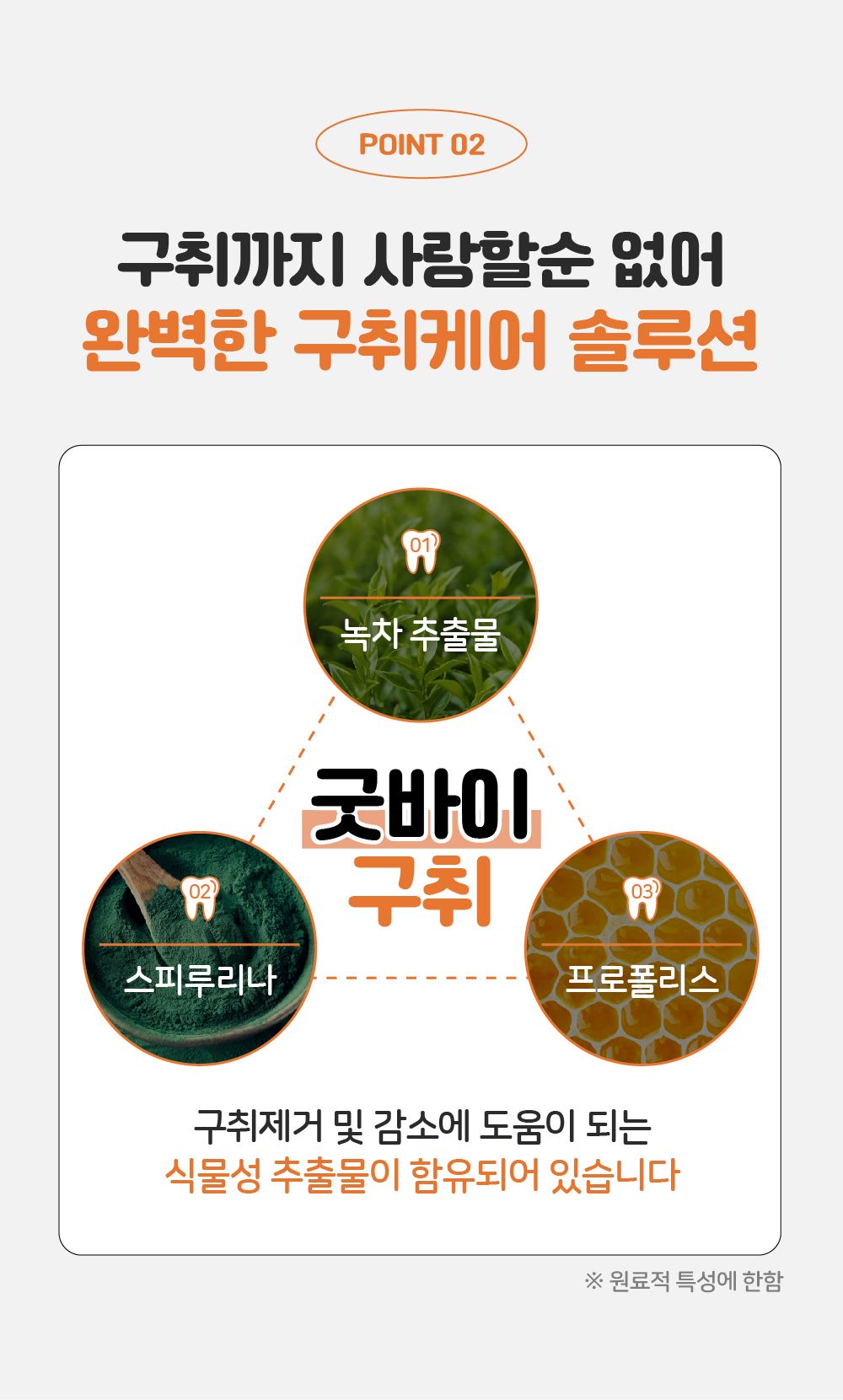 [무료배송] 리스펫 덴탈클린 효소 치약 닭고기맛 40g + 덴탈 딥 브러쉬 SET 10번째