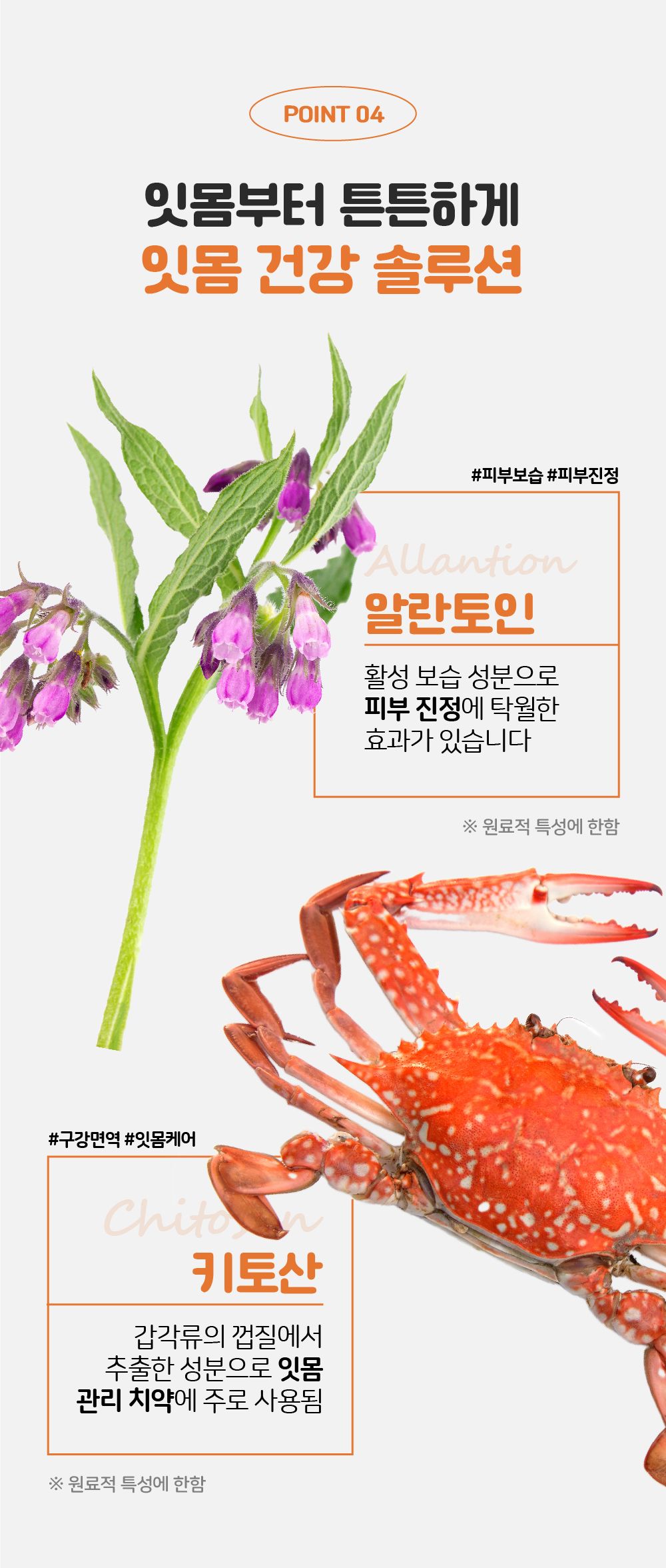 [무료배송] 리스펫 덴탈클린 효소 치약 닭고기맛 40g + 덴탈 딥 브러쉬 SET 12번째