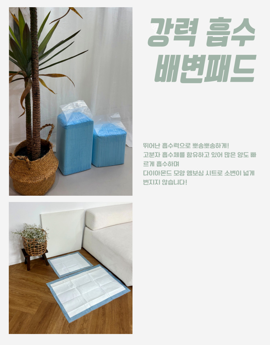 [NEW신상][무료배송] 후회없개 독 배변패드 M/XL 5번째