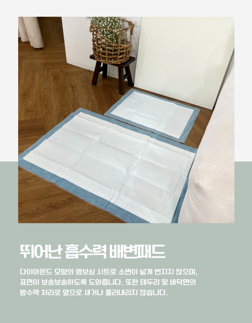[NEW신상][무료배송] 후회없개 독 배변패드 M/XL 2번째