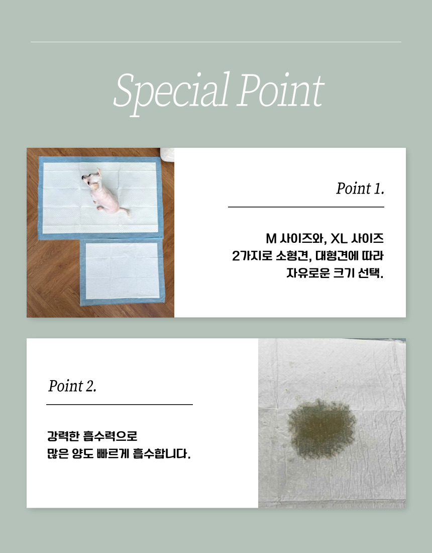 [NEW신상][무료배송] 후회없개 독 배변패드 M/XL 4번째
