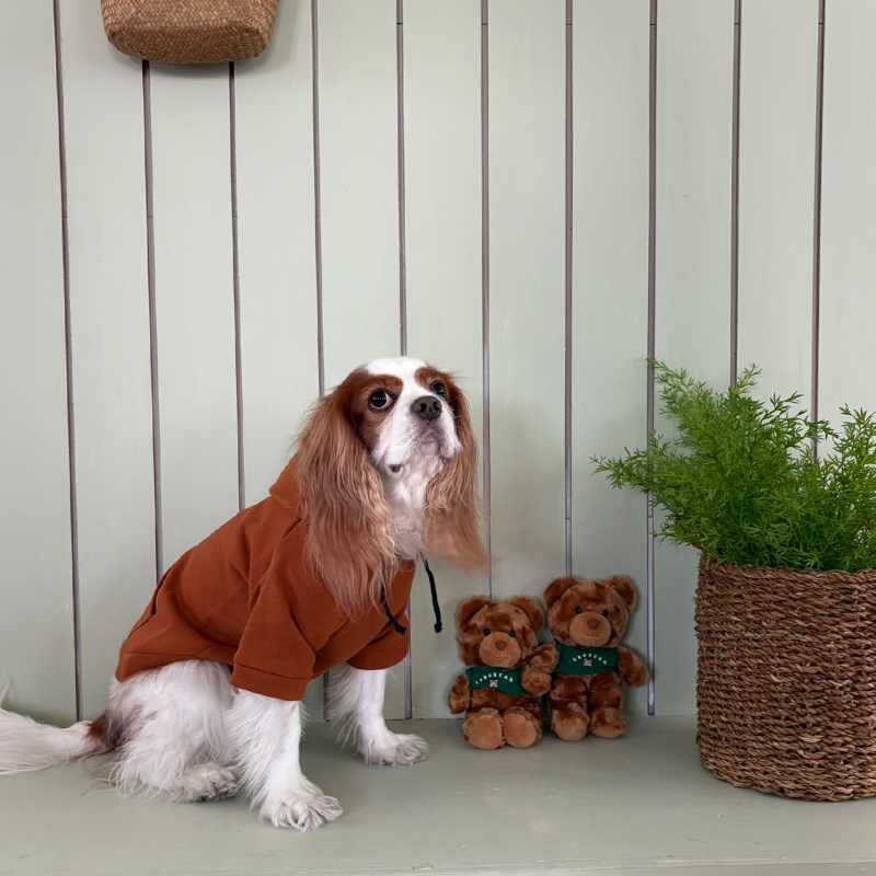 [NEW신상][무료배송] 해피댕댕 기모후드 4종 (그린,와인,카키,오렌지브라운) S-3XL 23번째