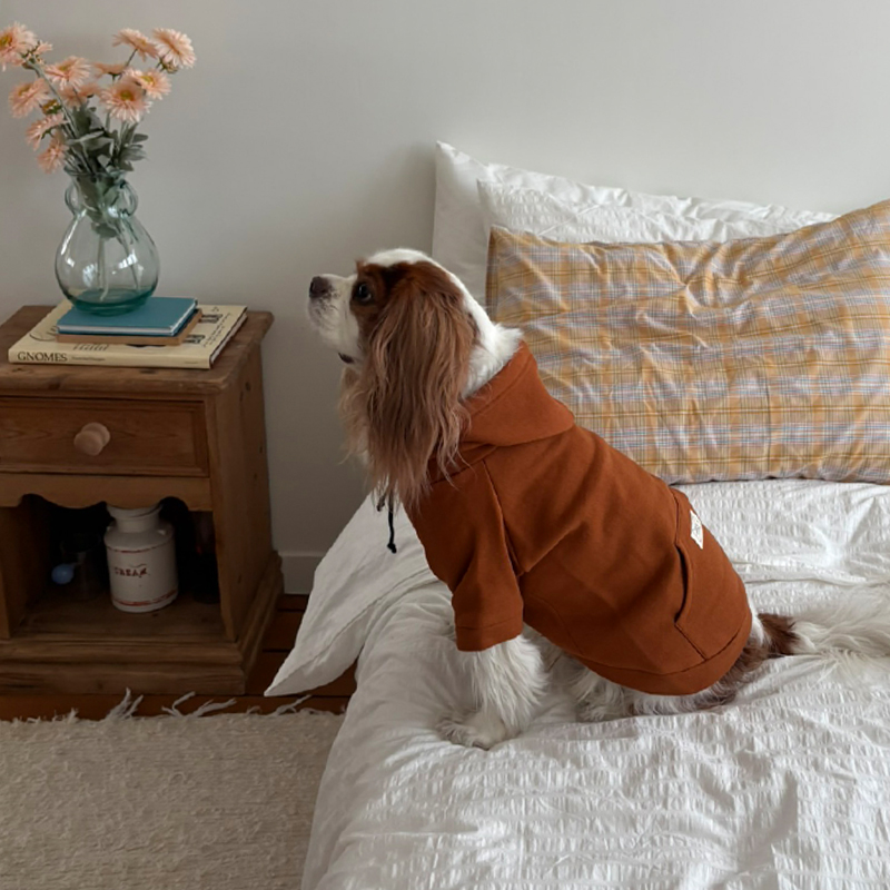 [NEW신상][무료배송] 해피댕댕 기모후드 4종 (그린,와인,카키,오렌지브라운) S-3XL 26번째