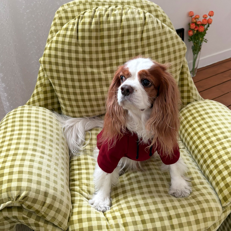 [NEW신상][무료배송] 해피댕댕 기모후드 4종 (그린,와인,카키,오렌지브라운) S-3XL 20번째