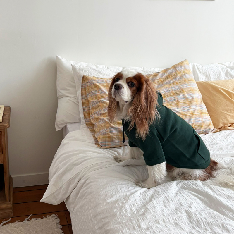 [NEW신상][무료배송] 해피댕댕 기모후드 4종 (그린,와인,카키,오렌지브라운) S-3XL 16번째