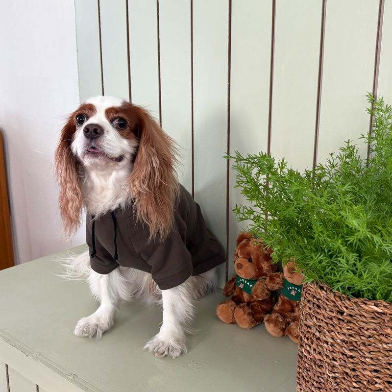 [NEW신상][무료배송] 해피댕댕 기모후드 4종 (그린,와인,카키,오렌지브라운) S-3XL 9번째