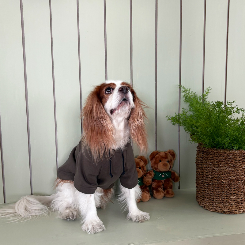 [NEW신상][무료배송] 해피댕댕 기모후드 4종 (그린,와인,카키,오렌지브라운) S-3XL 8번째