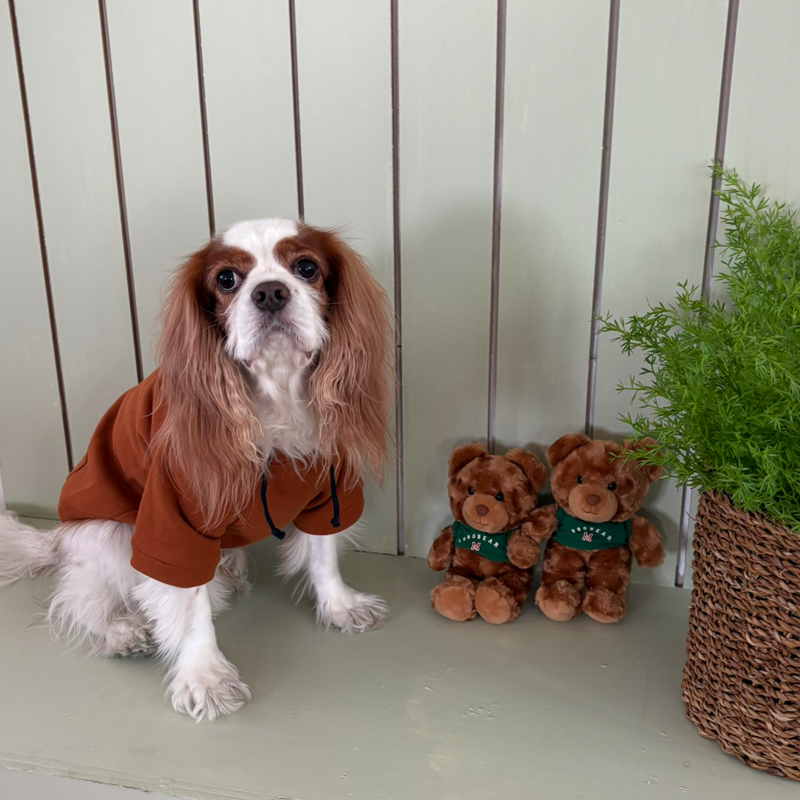 [NEW신상][무료배송] 해피댕댕 기모후드 4종 (그린,와인,카키,오렌지브라운) S-3XL 24번째