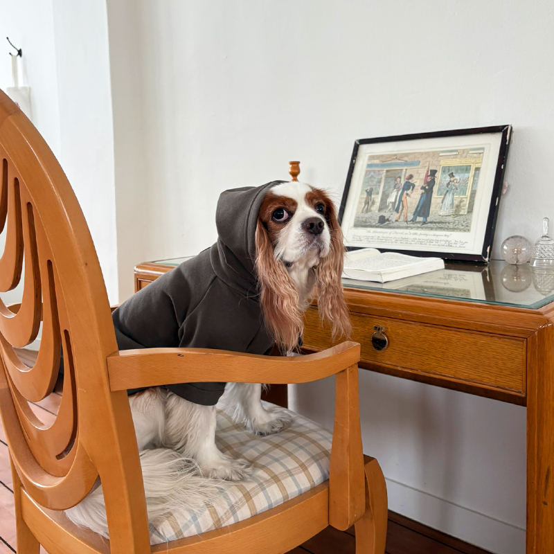 [NEW신상][무료배송] 해피댕댕 기모후드 4종 (그린,와인,카키,오렌지브라운) S-3XL 10번째