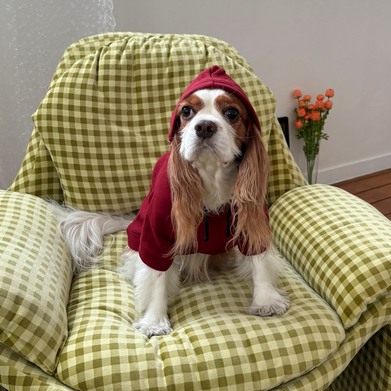 [NEW신상][무료배송] 해피댕댕 기모후드 4종 (그린,와인,카키,오렌지브라운) S-3XL 18번째