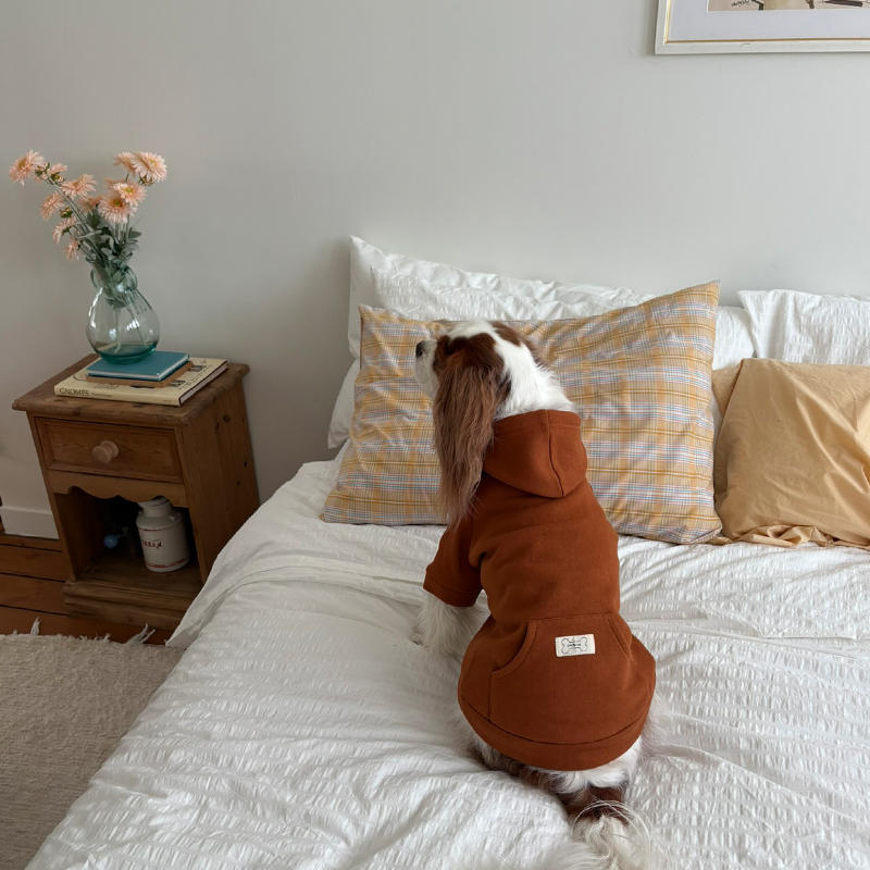 [NEW신상][무료배송] 해피댕댕 기모후드 4종 (그린,와인,카키,오렌지브라운) S-3XL 25번째