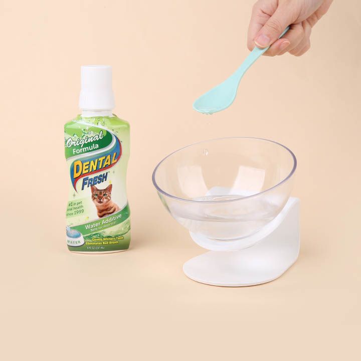 시너지랩 캣 덴탈 후레쉬 오리지날 237ml 4번