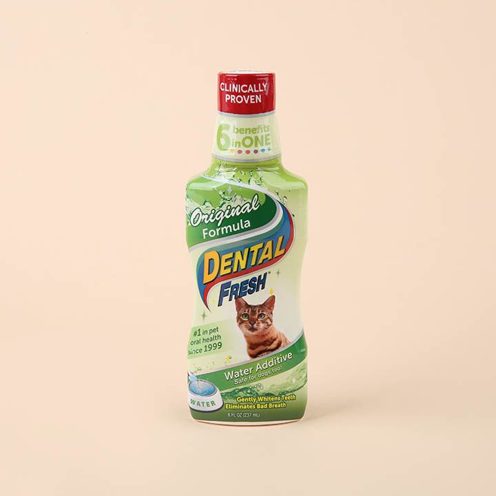 시너지랩 캣 덴탈 후레쉬 오리지날 237ml 2번