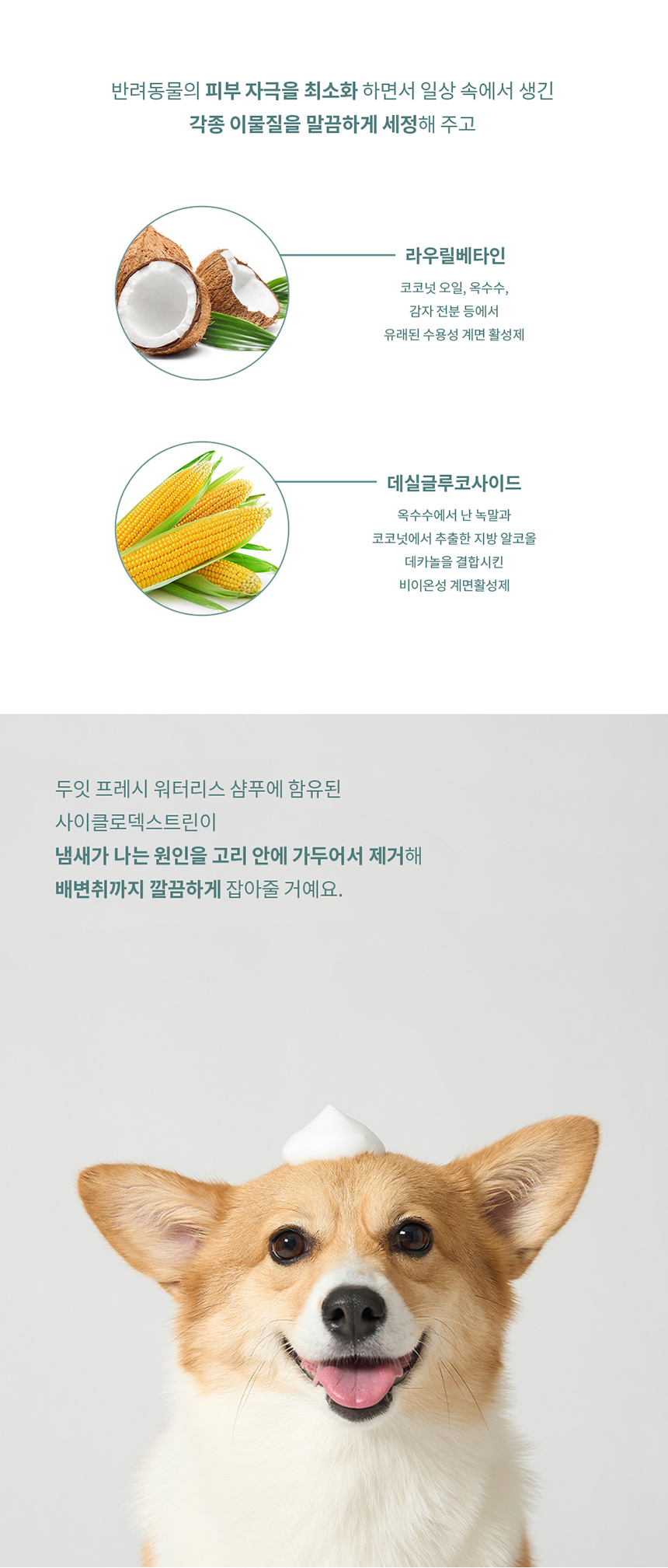 [핑프특가][무료배송][유통기한임박, 26년5월1일] 두잇 워터리스 샴푸 저자극 풋클렌저 130ml 4번째