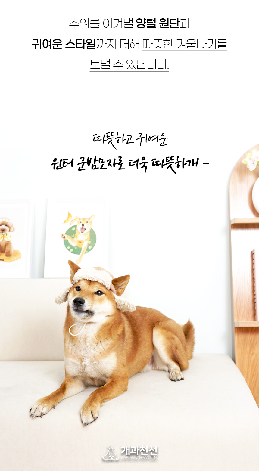 [NEW신상][무료배송] 개과천선 윈터 군밤 모자 (밀크 블루/밀크 베이지) 3번째