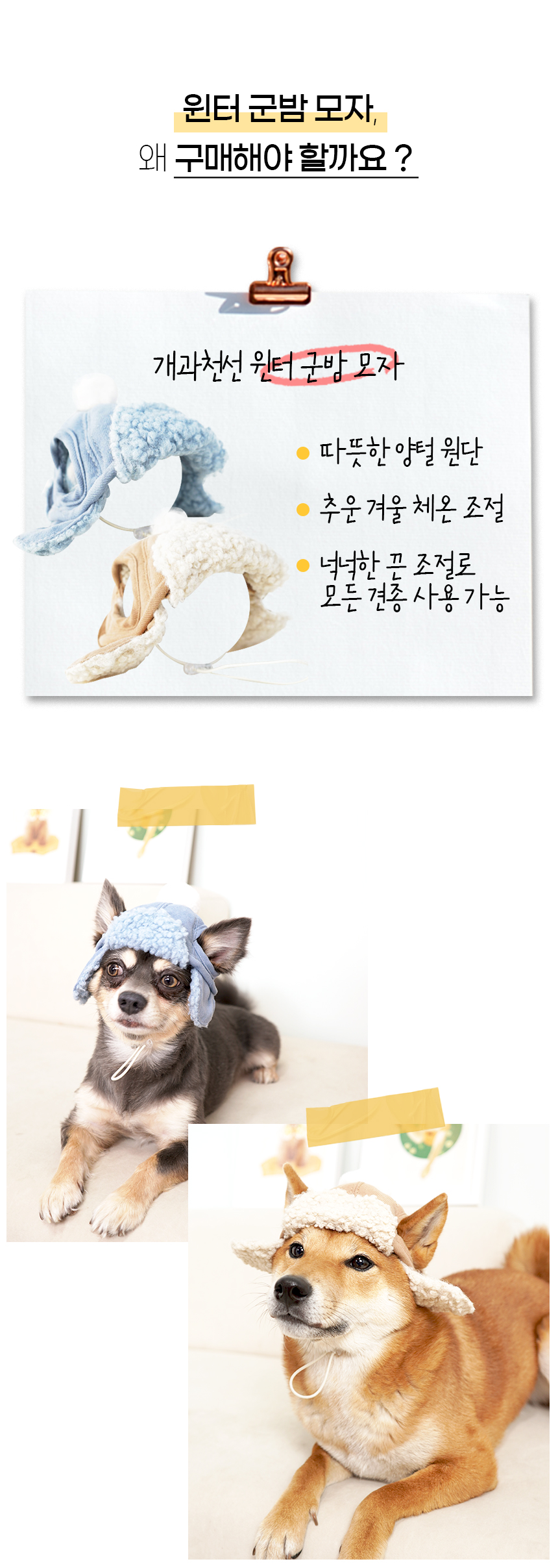[NEW신상][무료배송] 개과천선 윈터 군밤 모자 (밀크 블루/밀크 베이지) 5번째