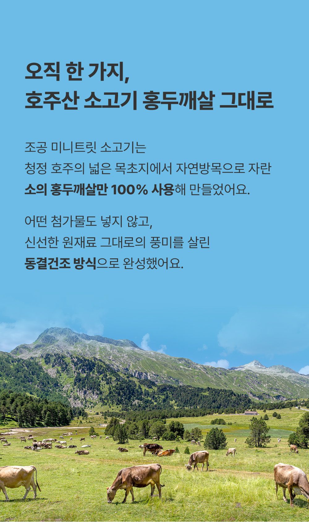 조공 미니트릿 호주 자연방목 소고기 80g 10번째