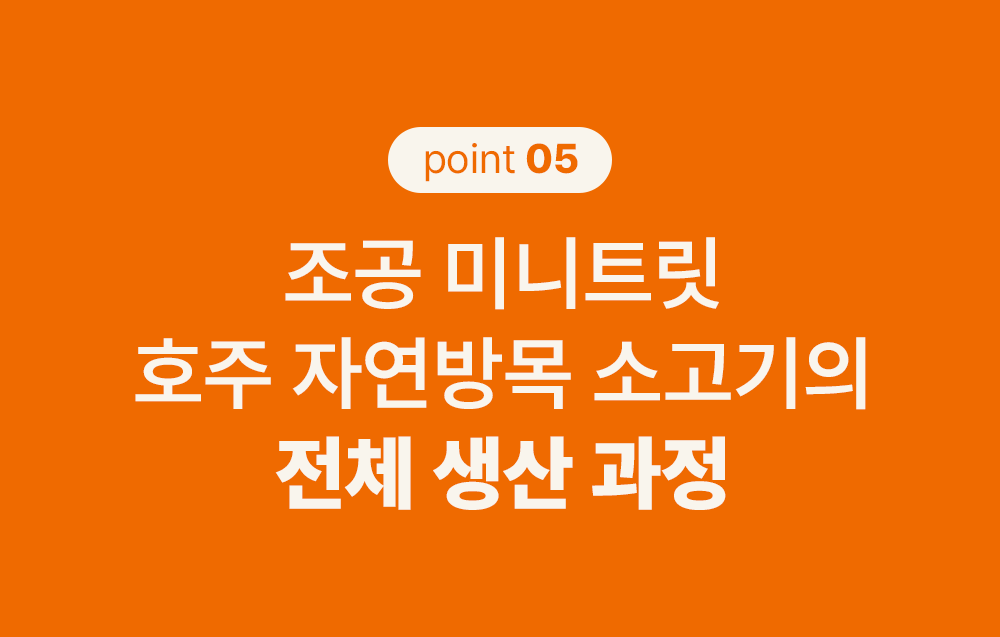 조공 미니트릿 호주 자연방목 소고기 80g 22번째
