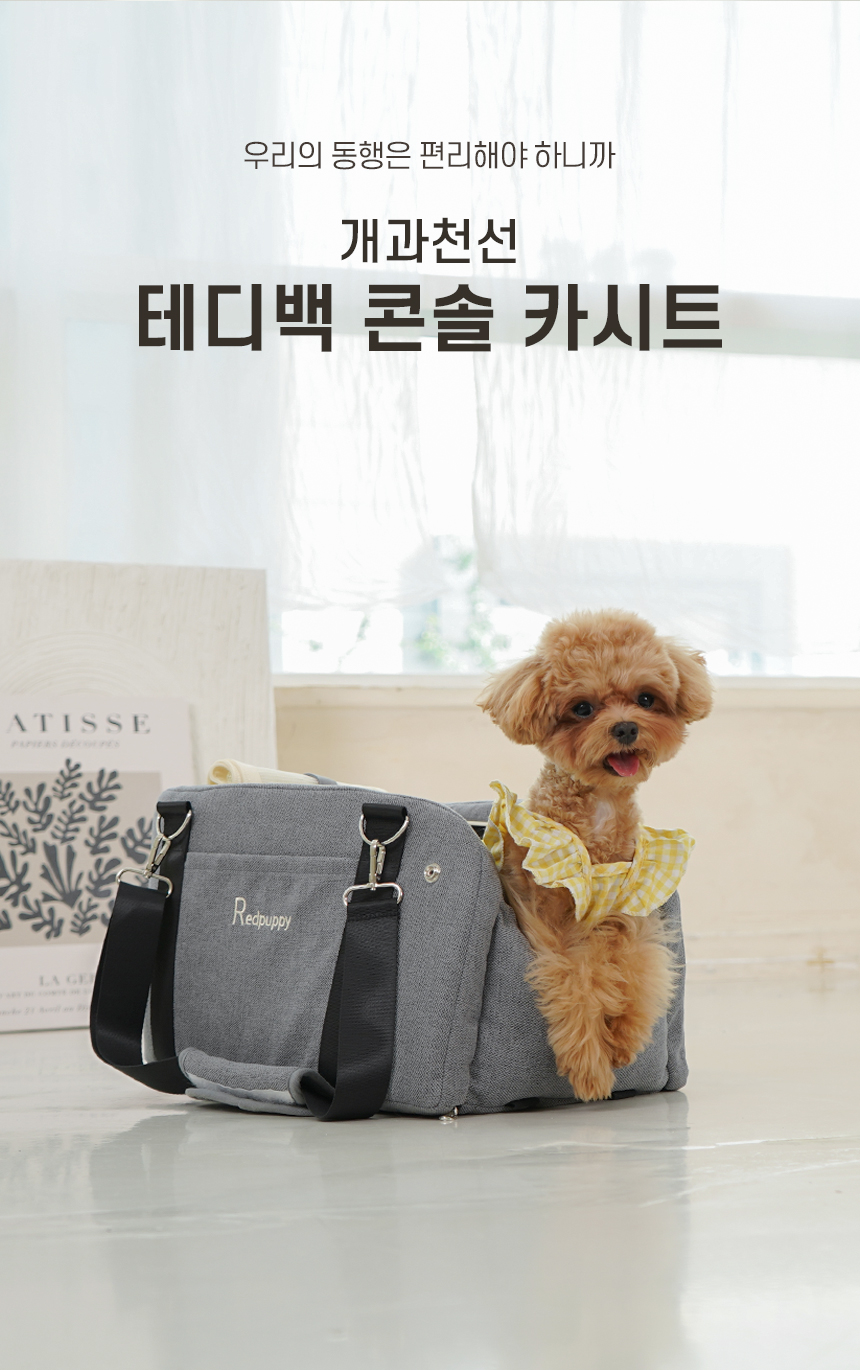 [NEW신상][무료배송] 개과천선 독 테디백 콘솔 카시트 (오트밀 베이지/모던 그레이) 2번째