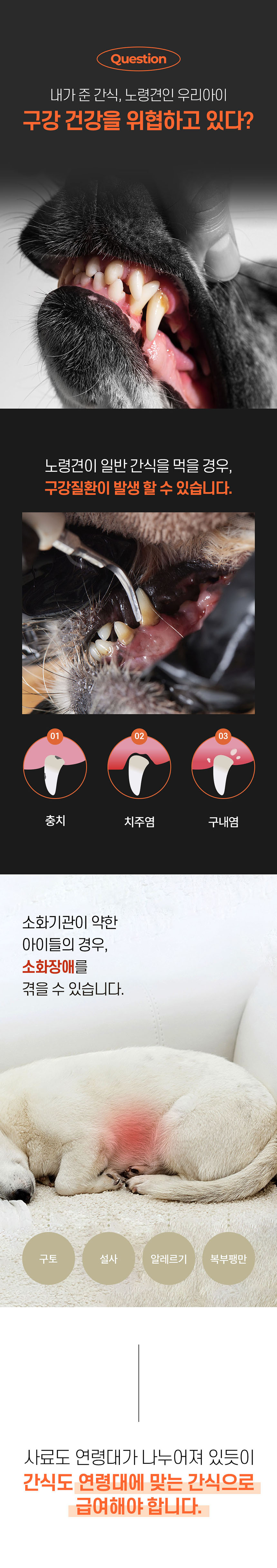 [무료배송] 리스펫 견양갱 7g*30p	 2번째