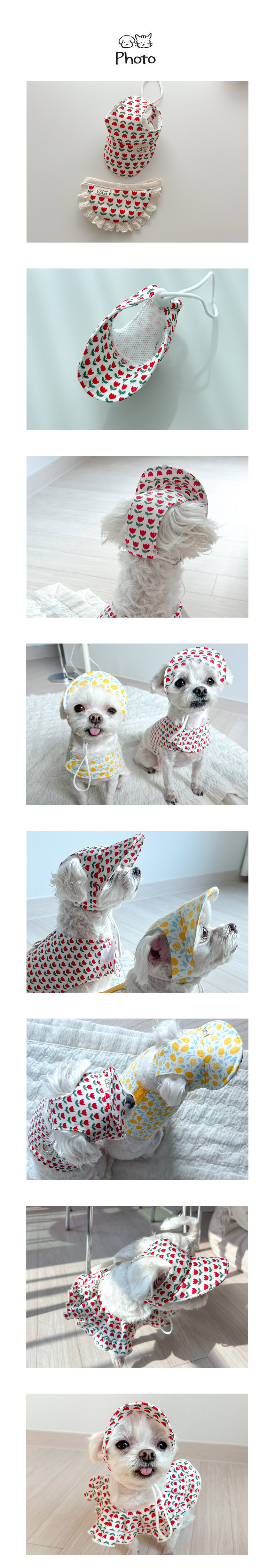 [무료배송] 개달당 독 튤립 선캡&턱받이 2종 SET XS-XL 2번째