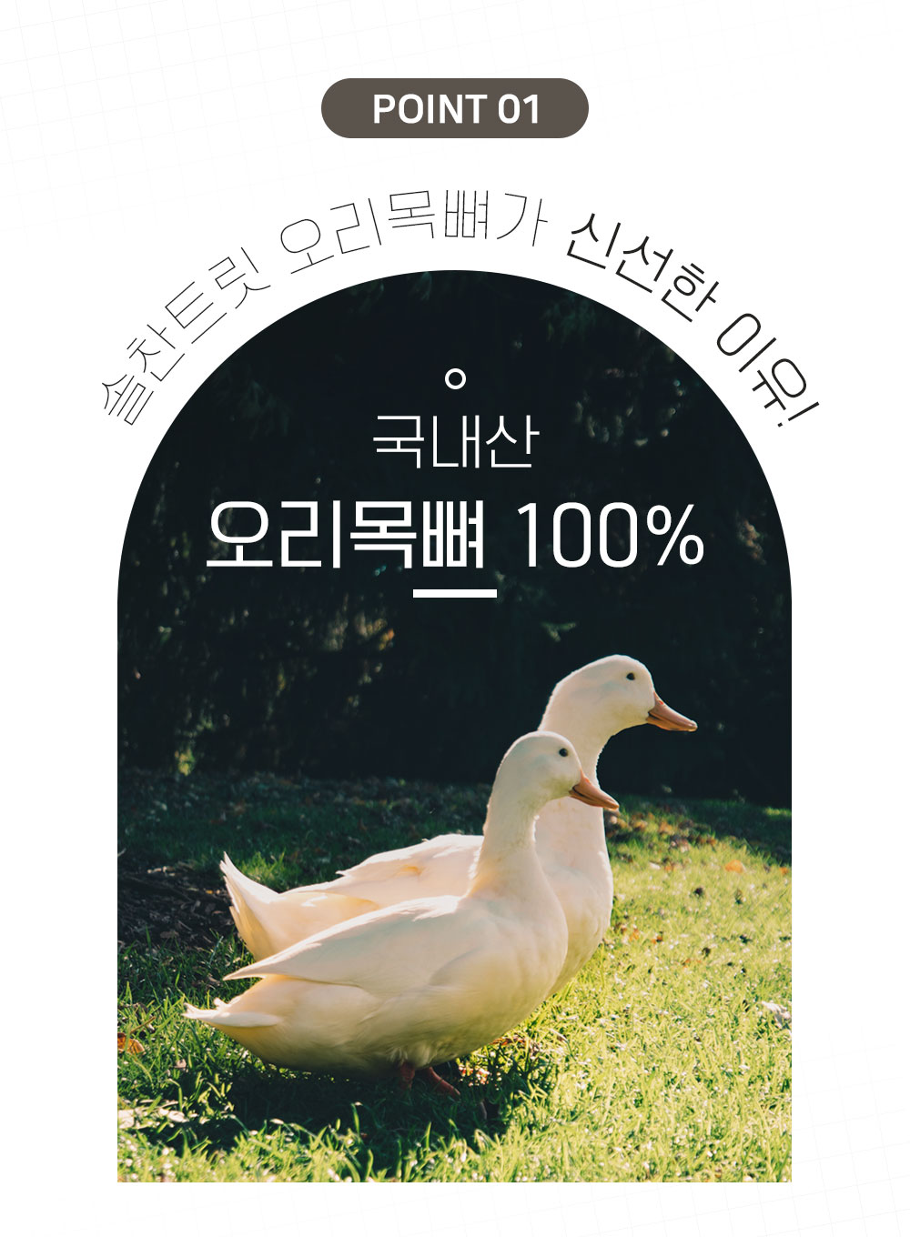 [무료배송] 온날 솔찬트릿 동결건조 오리목뼈 110g 4번째