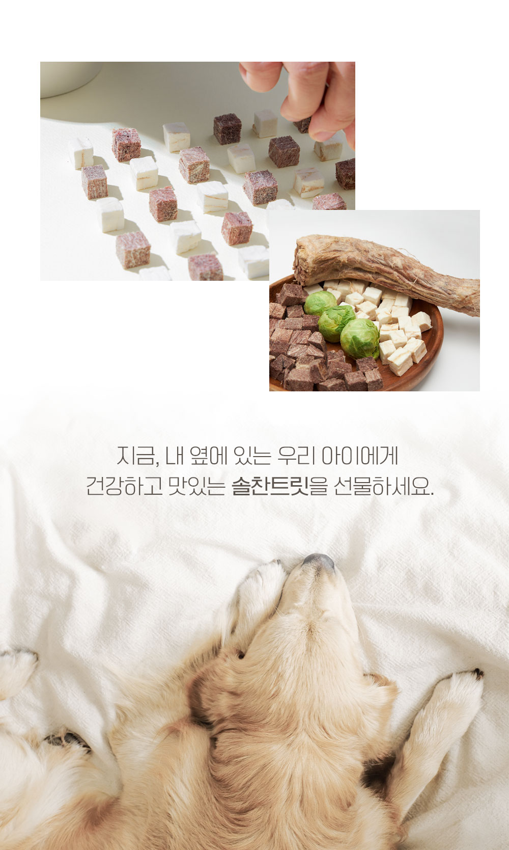 [무료배송] 온날 솔찬트릿 동결건조 오리목뼈 110g 13번째