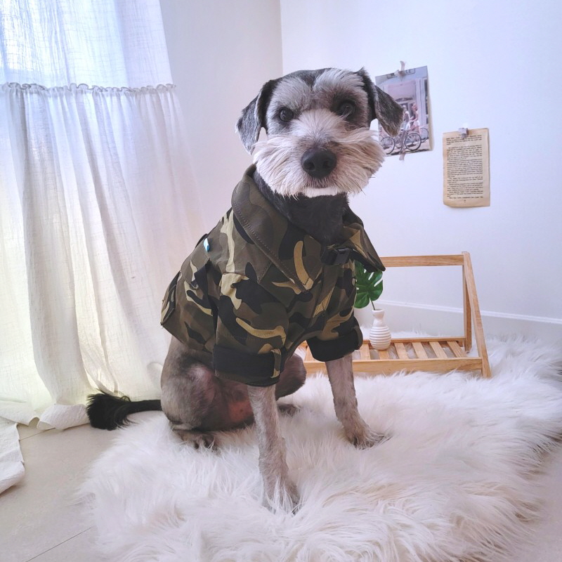 [무료배송] 파니온 밀리터리 군복 L-2XL 4번째