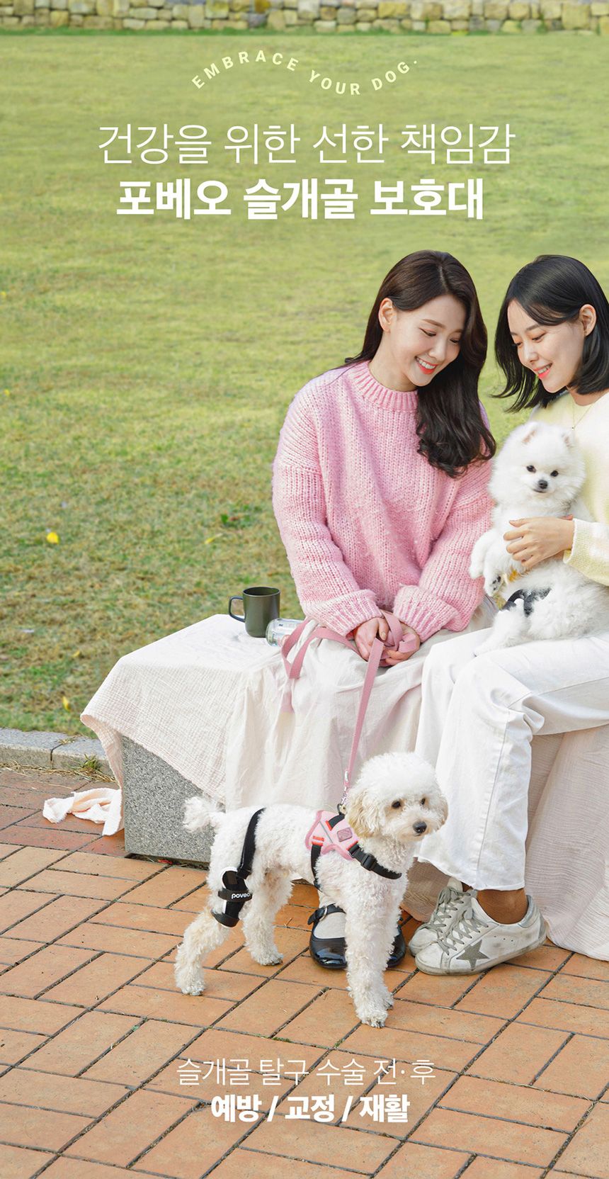 [무료배송] 포베오 슬개골 보호대 2단계 네오프린 블랙 XS-XL 3번째