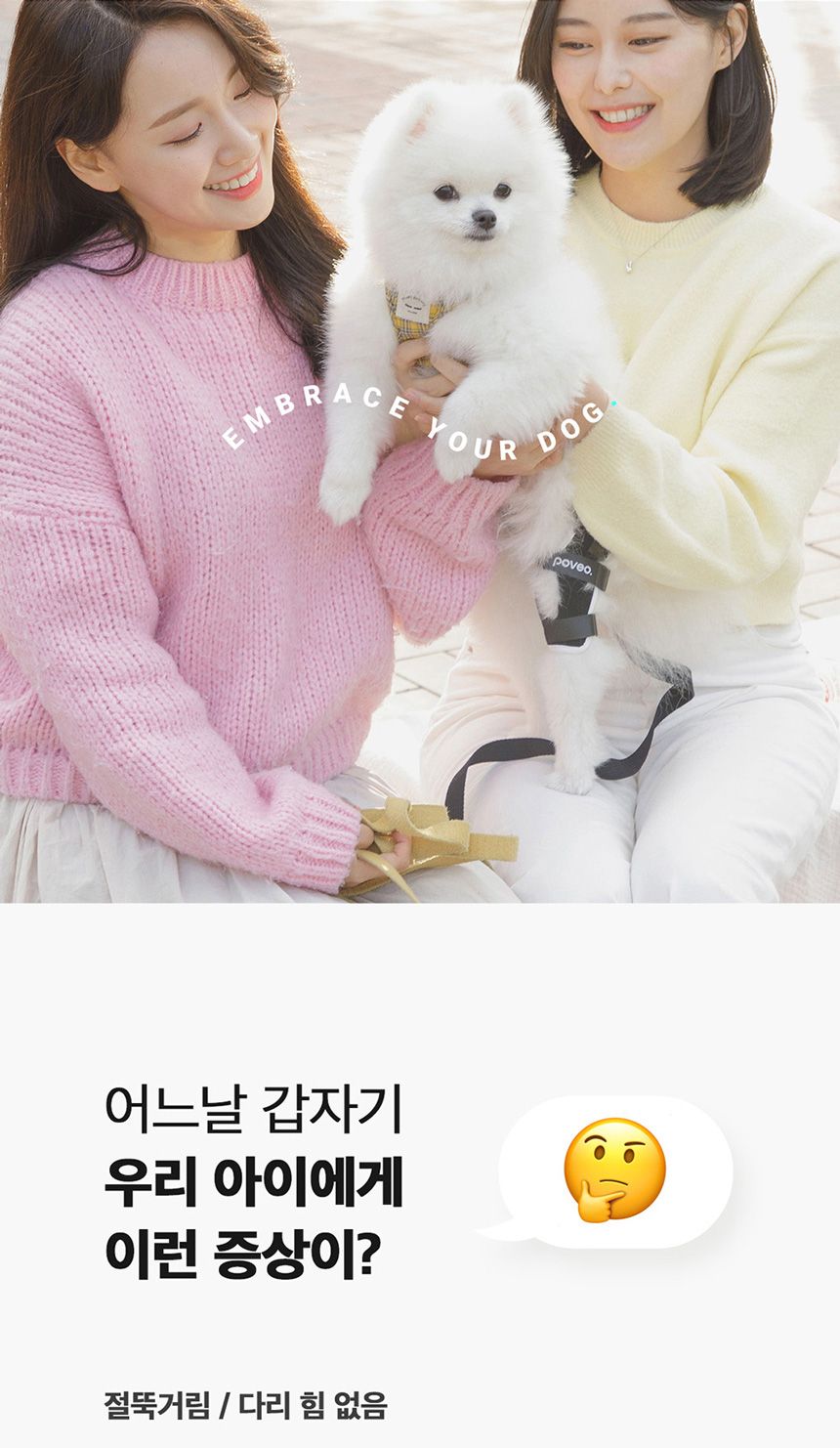 [무료배송] 포베오 슬개골 보호대 2단계 네오프린 블랙 XS-XL 5번째