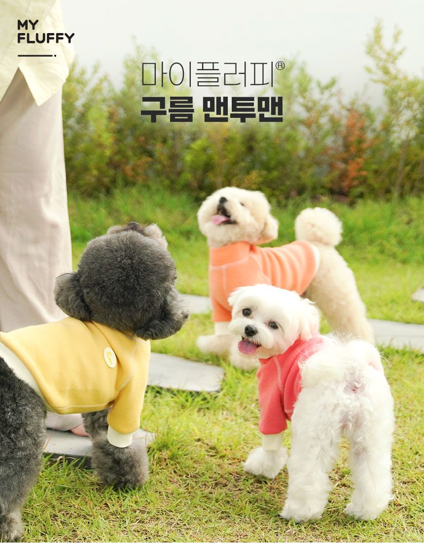 [무료배송] 마이플러피 구름 목폴라 맨투맨 S-2XL 핑크/오렌지/옐로우 2번째