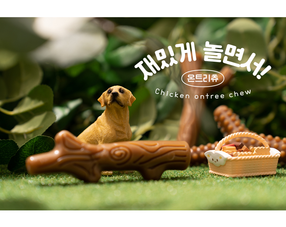 [무료배송] 온날 독 오래먹는 온트리츄 야크치즈 230g 7번째