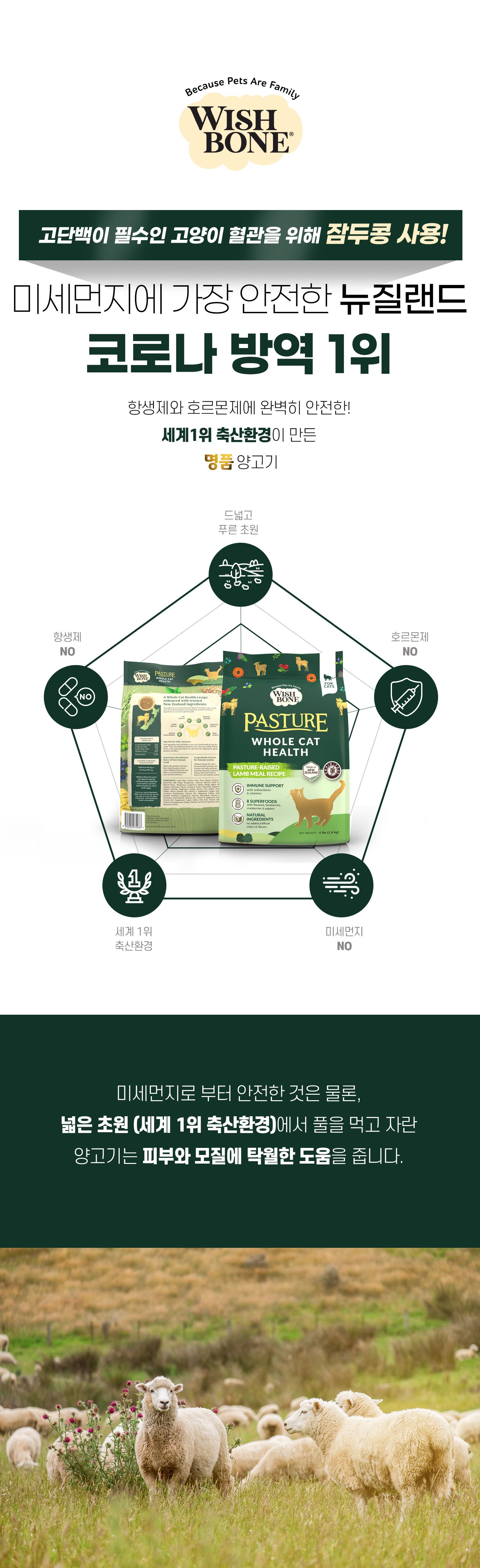 [유통기한임박, 26년4월5일] 위시본 캣 홀리스틱 그레인프리 양고기 4.5kg 15번째