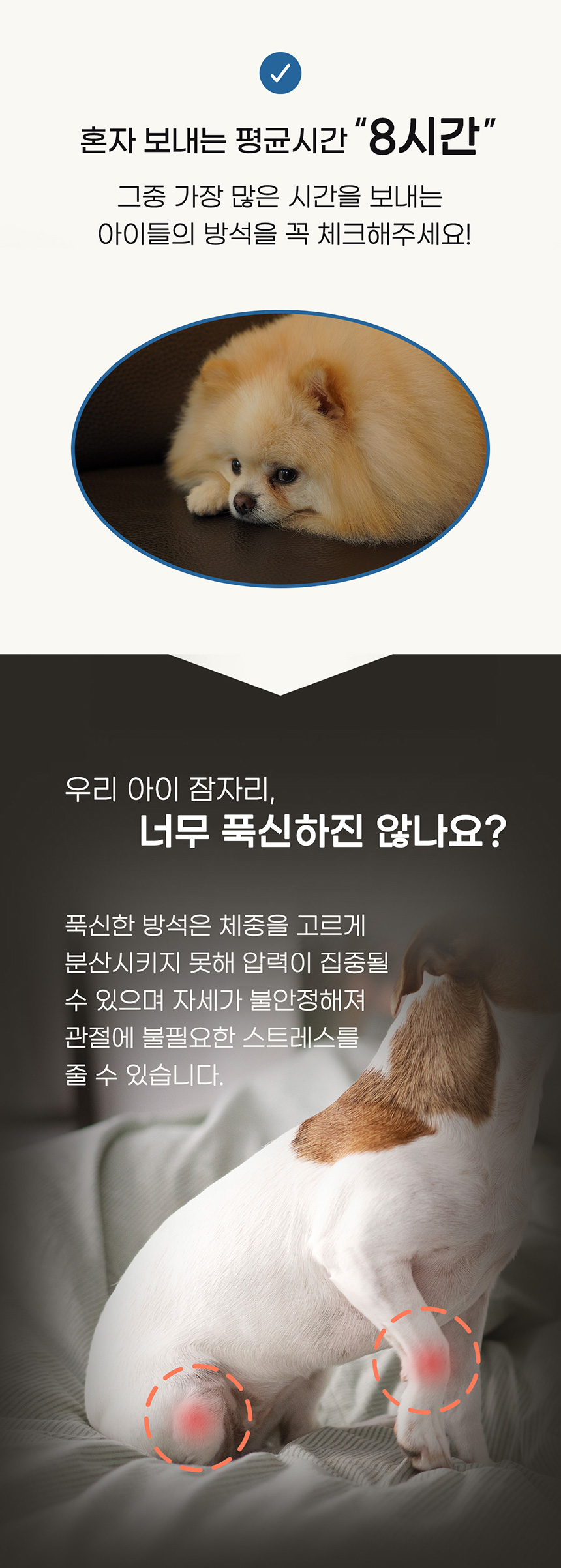 [NEW신상][무료배송] [쿨매트증정] 도들러 에어네트 펫 베드 샌드베이지 4번째