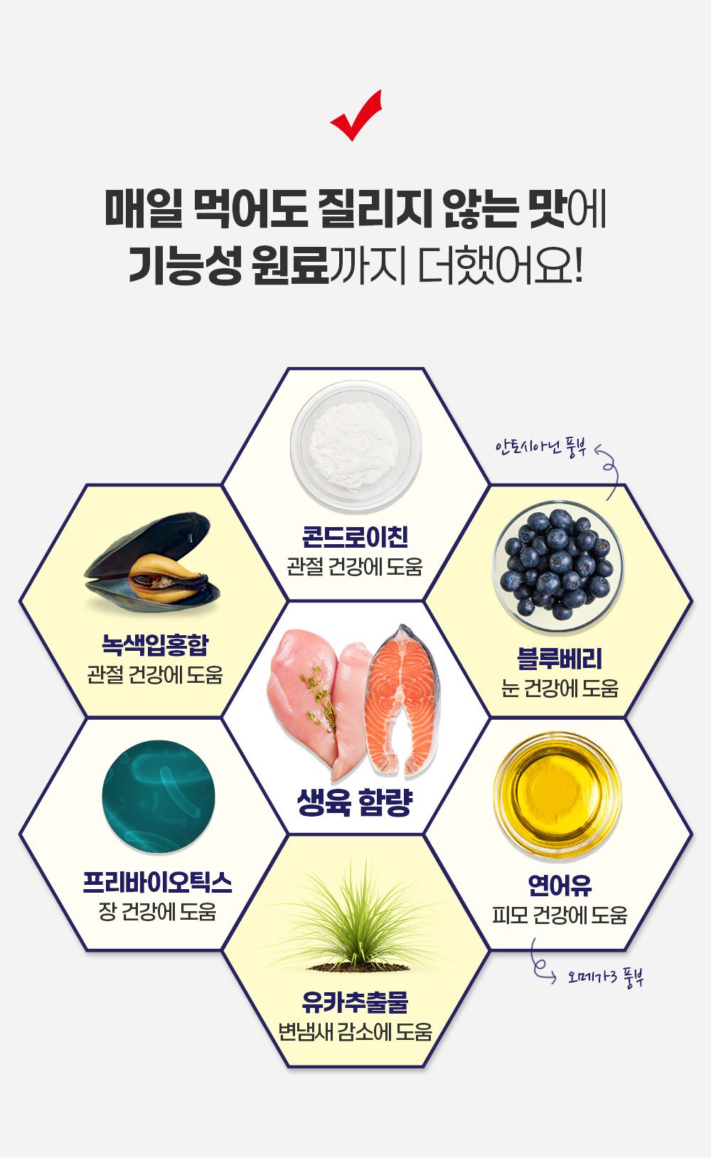 [체험단] 비갈로 맥스 독 눈건강 플러스 샘플 30g 3번째