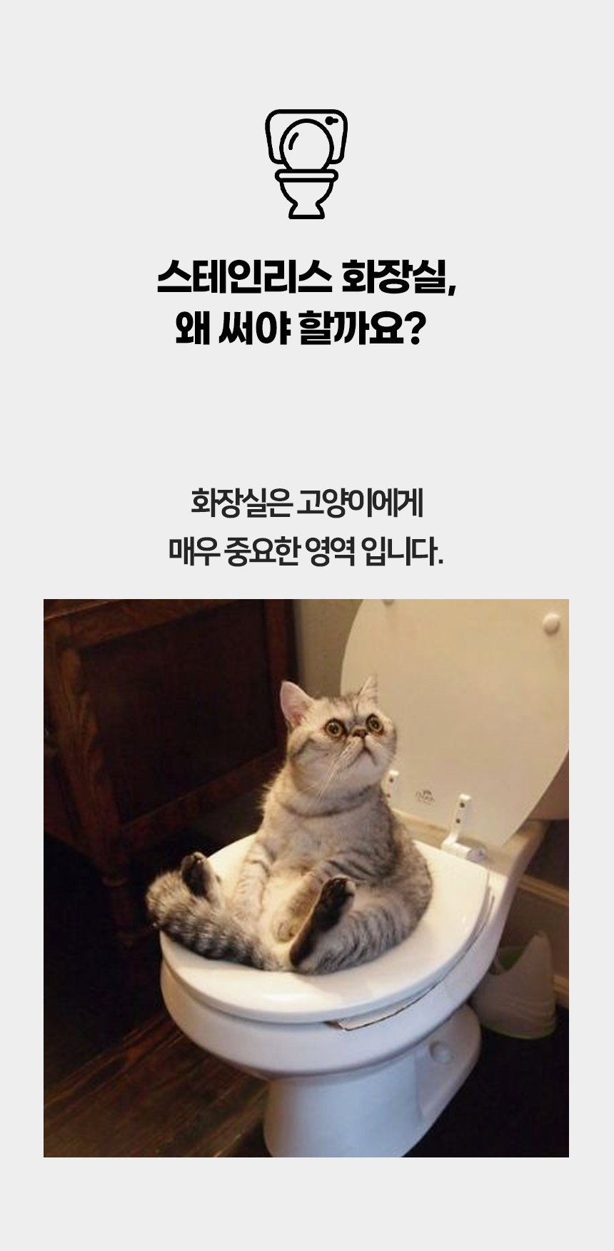 [NEW신상][무료배송] [모래삽포함] 개과천선 캣 스텐박스 화장실 (중형/대형) 2번째