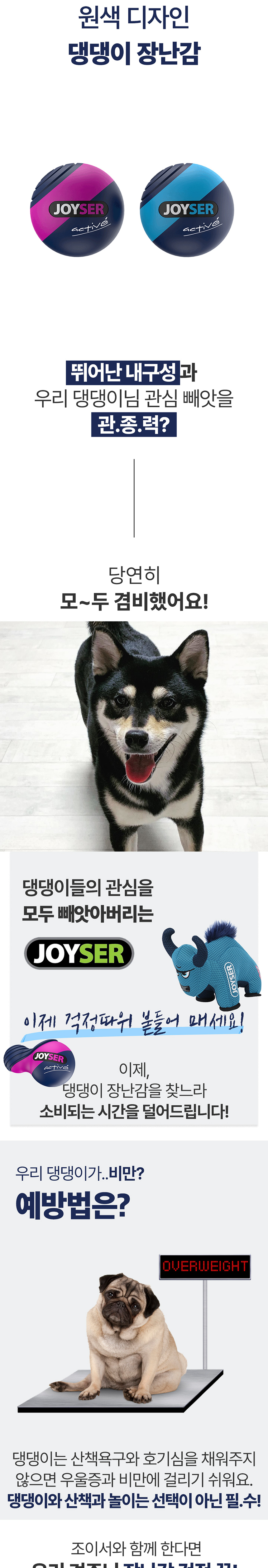 [무료배송] 조이서 독 마이터스인형/고래 2번째